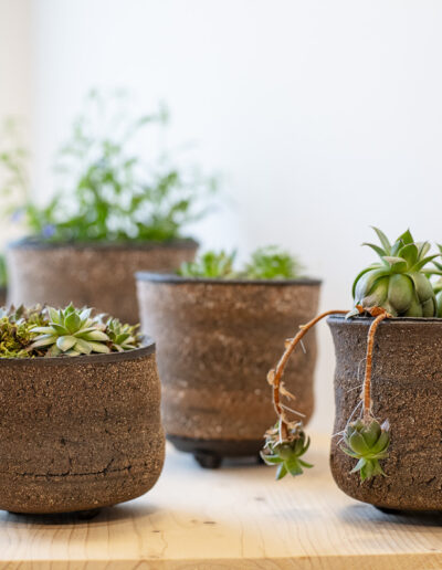 Valérie Calvat céramique poterie Ardèche